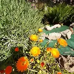 Bed and breakfast Casa Lavanda
