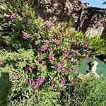 Bed and breakfast Casa Lavanda Rivoli (Turin)