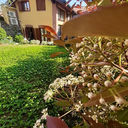 Bed & Breakfast Casa Lavanda *