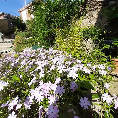 Casa Lavanda * Rivoli (Turin)