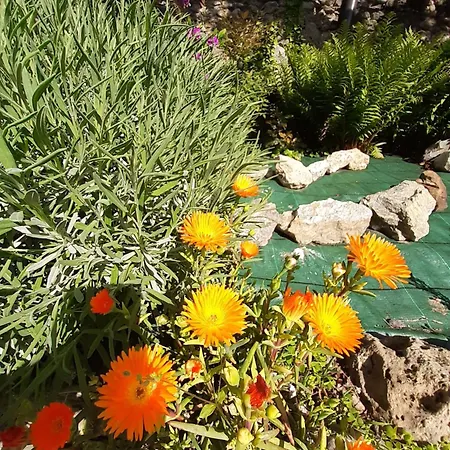 Bed & Breakfast Casa Lavanda