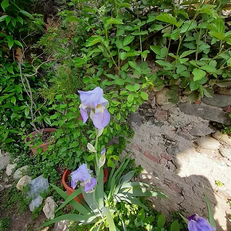 Casa Lavanda Bed & Breakfast