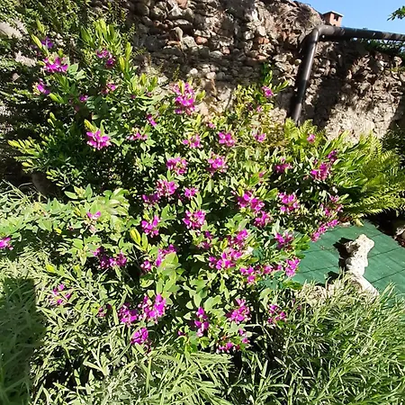 Bed & Breakfast Casa Lavanda Rivoli (Turin)