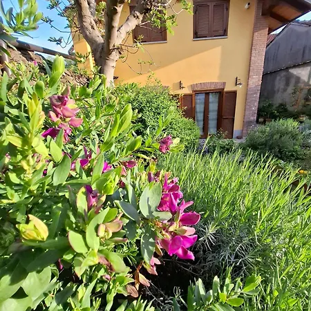 Casa Lavanda Panzió