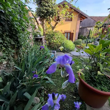 Casa Lavanda Rivoli (Turin)