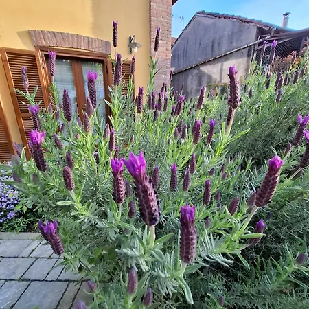 Panzió Casa Lavanda 3*
