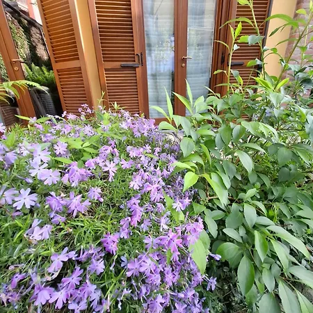 Casa Lavanda